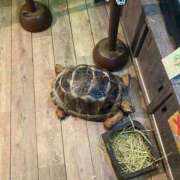 もえ すみません🌀 ギン妻パラダイス 和歌山店