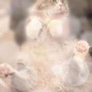 ヒメ日記 2025/11/18 10:01 投稿 あかり ぐっどがーる浜松店