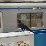 ヒメ日記 2025/12/01 22:46 投稿 MAIKA Club SEXY