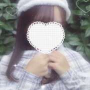 ヒメ日記 2025/12/11 14:35 投稿 ことり 新宿ハンドメイド