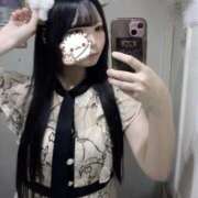 ひめの わんわんイベント🐕♡ パイセン