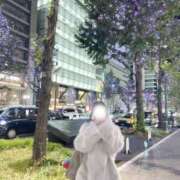 ヒメ日記 2025/11/12 16:03 投稿 ウマル Club NANA 神戸西宮