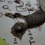 ヒメ日記 2025/12/06 19:56 投稿 りあ ZERO-i