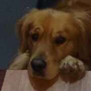 ヒメ日記 2025/12/16 17:36 投稿 りあ ZERO-i