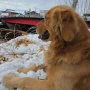 ヒメ日記 2026/01/12 16:26 投稿 りあ ZERO-i