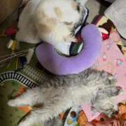 ヒメ日記 2026/02/11 14:06 投稿 りあ ZERO-i