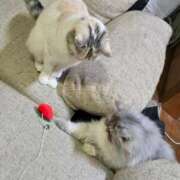 ヒメ日記 2026/02/17 21:56 投稿 りあ ZERO-i