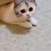 ヒメ日記 2026/03/01 16:54 投稿 りあ ZERO-i