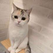 ヒメ日記 2026/04/09 21:46 投稿 りあ ZERO-i