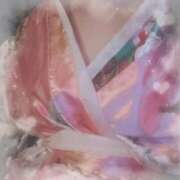 ヒメ日記 2025/11/25 18:44 投稿 りみか いざ候 別館