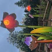 松本(まつもと) 初なのに Ageha（あげは）