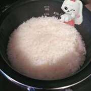 ヒメ日記 2025/12/08 19:16 投稿 ななこ アラモード