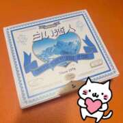 ヒメ日記 2025/12/27 15:48 投稿 ななこ アラモード