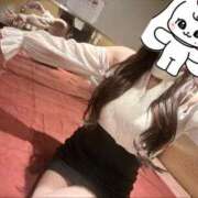 ななこ 本日16:00〜 アラモード