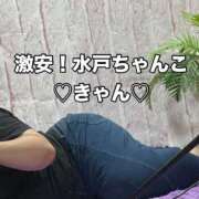 ヒメ日記 2025/11/10 16:45 投稿 きゃん 茨城水戸ちゃんこ