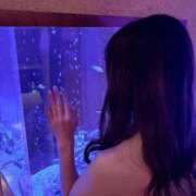 ヒメ日記 2025/12/04 14:02 投稿 ♡うな♡ MUTEKI LAND