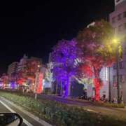 ヒメ日記 2025/12/09 15:35 投稿 さら プリンセスセレクション姫路