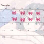 ヒメ日記 2025/11/25 12:02 投稿 はてな プレミアム(福原)