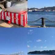 ヒメ日記 2026/02/17 15:55 投稿 はてな プレミアム(福原)