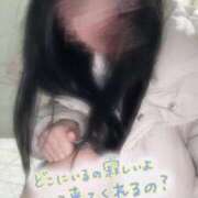 ヒメ日記 2026/02/20 08:46 投稿 天音るる 制服×コスプレ アオハルスイッチ