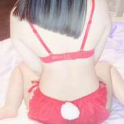 ヒメ日記 2025/11/10 14:05 投稿 やえ ピンキーエコ