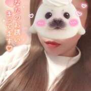 ヒメ日記 2026/04/15 12:21 投稿 理央名（りおな） 女々艶 大和店