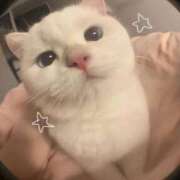 ヒメ日記 2025/11/22 10:03 投稿 みか ちょいぽちゃMAX 鯖江店