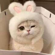 ヒメ日記 2025/11/26 11:02 投稿 みか ちょいぽちゃMAX 鯖江店