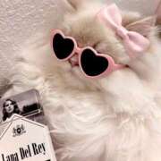 ヒメ日記 2025/11/27 12:03 投稿 みか ちょいぽちゃMAX 鯖江店