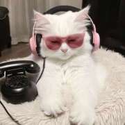 ヒメ日記 2025/11/30 11:02 投稿 みか ちょいぽちゃMAX 鯖江店