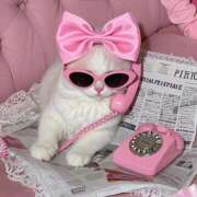 ヒメ日記 2025/12/03 13:52 投稿 みか ちょいぽちゃMAX 鯖江店