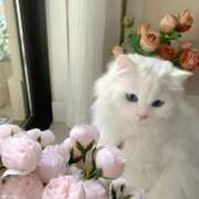 ヒメ日記 2025/12/09 12:22 投稿 みか ちょいぽちゃMAX 鯖江店