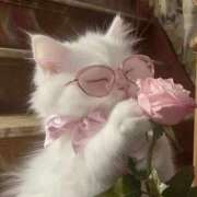 ヒメ日記 2025/12/10 10:42 投稿 みか ちょいぽちゃMAX 鯖江店