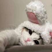 ヒメ日記 2025/12/10 16:02 投稿 みか ちょいぽちゃMAX 鯖江店