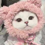 ヒメ日記 2025/12/17 14:32 投稿 みか ちょいぽちゃMAX 鯖江店