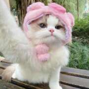 ヒメ日記 2025/12/19 02:12 投稿 みか ちょいぽちゃMAX 鯖江店