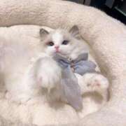 ヒメ日記 2026/01/05 10:32 投稿 みか ちょいぽちゃMAX 鯖江店