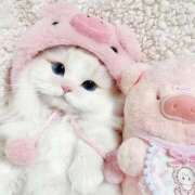 ヒメ日記 2026/01/15 10:52 投稿 みか ちょいぽちゃMAX 鯖江店