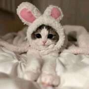 ヒメ日記 2026/01/16 12:23 投稿 みか ちょいぽちゃMAX 鯖江店