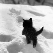 ヒメ日記 2026/01/22 11:52 投稿 みか ちょいぽちゃMAX 鯖江店