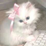 みか 🌸 ちょいぽちゃMAX 鯖江店