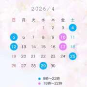 ヒメ日記 2026/04/04 09:19 投稿 かりん 吉祥寺角海老