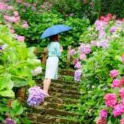 新人 かなｻﾝ ☆かな☆ De愛急行 栗東インター店