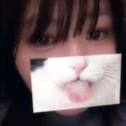 ヒメ日記 2025/12/21 19:14 投稿 ゆほ とある風俗店♡やりすぎさーくる新宿大久保店♡で色んな無料オプションしてみました