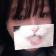 ヒメ日記 2025/12/21 19:34 投稿 ゆほ とある風俗店♡やりすぎさーくる新宿大久保店♡で色んな無料オプションしてみました