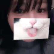 ヒメ日記 2026/01/11 11:38 投稿 ゆほ とある風俗店♡やりすぎさーくる新宿大久保店♡で色んな無料オプションしてみました