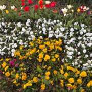 ヒメ日記 2026/04/09 20:38 投稿 ゆほ とある風俗店♡やりすぎさーくる新宿大久保店♡で色んな無料オプションしてみました