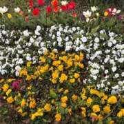 ヒメ日記 2026/04/09 20:46 投稿 ゆほ とある風俗店♡やりすぎさーくる新宿大久保店♡で色んな無料オプションしてみました