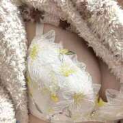 ヒメ日記 2026/03/13 02:25 投稿 さくら BIKINISPA「真」-ビキニスパ-