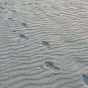 ヒメ日記 2025/12/06 15:07 投稿 姫宮くるみ -NEO-皇帝別館（中央街）